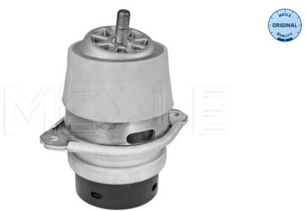 Audi Aslichaam-/motorsteunlager 1001990215