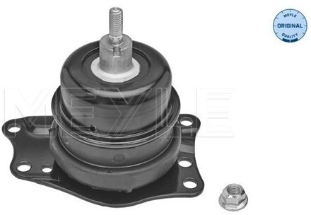 Audi Aslichaam-/motorsteunlager 1001990228