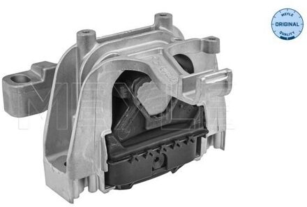 Audi Aslichaam-/motorsteunlager 1001990281