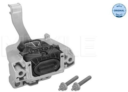 Audi Aslichaam-/motorsteunlager 1001990283