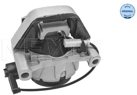 Audi Aslichaam-/motorsteunlager 1001990317