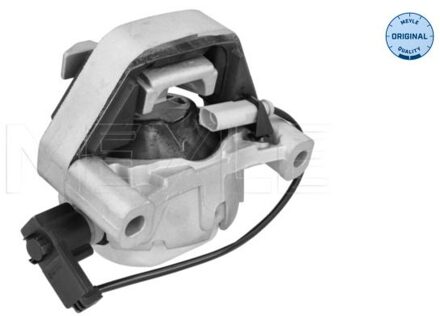 Audi Aslichaam-/motorsteunlager 1001990319