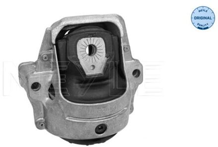 Audi Aslichaam-/motorsteunlager 1001991002