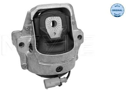 Audi Aslichaam-/motorsteunlager 1001991005