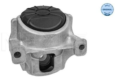 Audi Aslichaam-/motorsteunlager 1001991010