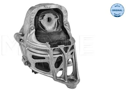 Audi Aslichaam-/motorsteunlager 1001991015