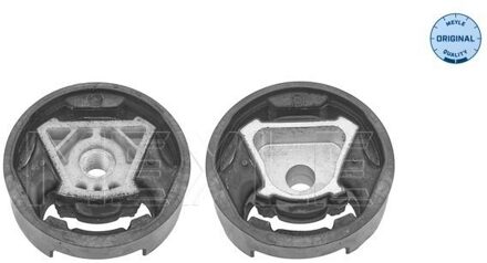 Audi Aslichaam-/motorsteunlager 1001991023