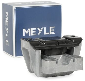 Audi Aslichaam-/motorsteunlager 1001991055