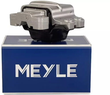 Audi Aslichaam-/motorsteunlager 1001991098