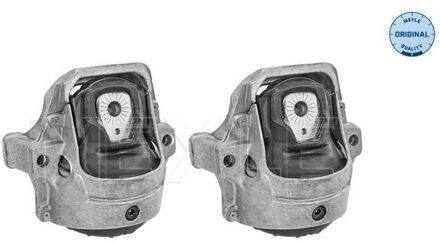 Audi Aslichaam-/motorsteunlager 1001991400S