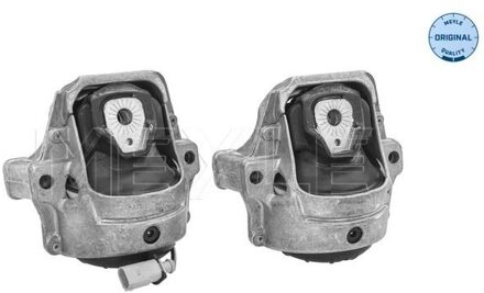 Audi Aslichaam-/motorsteunlager 1001991406S