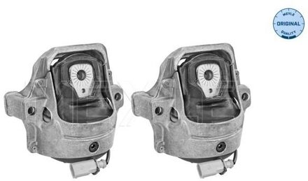 Audi Aslichaam-/motorsteunlager 1001991407S