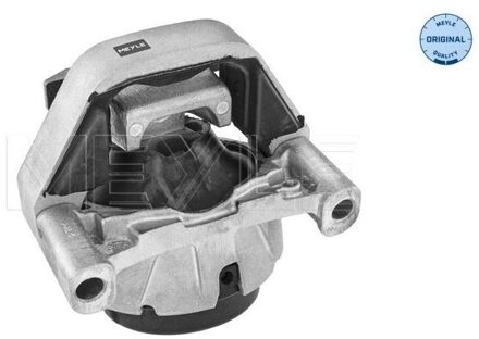 Audi Aslichaam-/motorsteunlager 1001993018