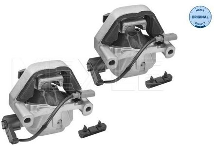 Audi Aslichaam-/motorsteunlager 1001993106S