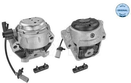 Audi Aslichaam-/motorsteunlager 1001993200S