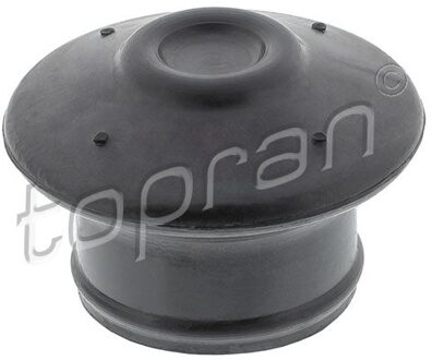 Audi Aslichaam-/motorsteunlager 104278