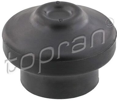 Audi Aslichaam-/motorsteunlager 104422