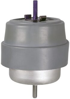 Audi Aslichaam-/motorsteunlager 170048