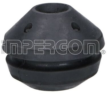 Audi Aslichaam-/motorsteunlager 30209