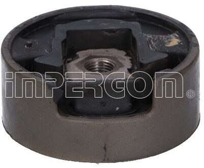 Audi Aslichaam-/motorsteunlager 32424