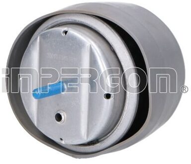 Audi Aslichaam-/motorsteunlager 35010