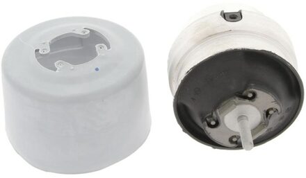 Audi Aslichaam-/motorsteunlager 80000010