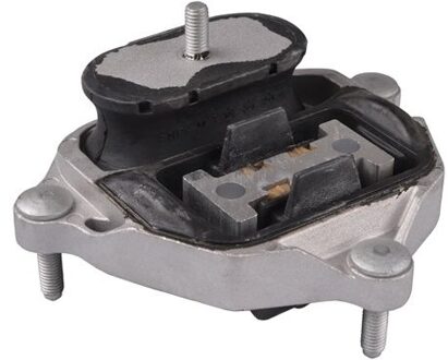 Audi Aslichaam-/motorsteunlager TED88043