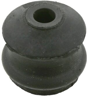 Audi Aslichaam-/Motorsteunlager