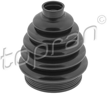 Audi Asmanchet 109253