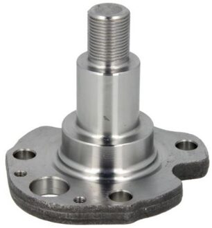 Audi Astap, wielophanging 1005010029