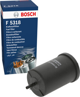 Audi BOSCH Filtre essence F5318 0450905318