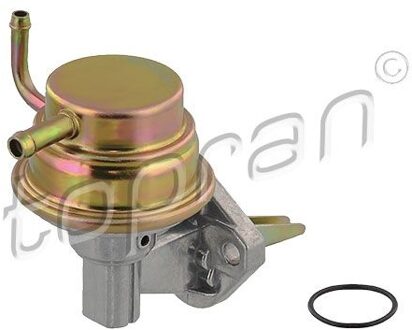 Audi Brandstofpomp 100219