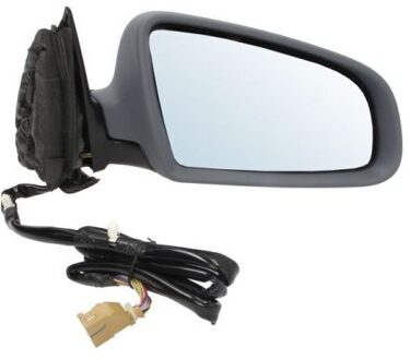 Audi Buitenspiegel 5402041119525P