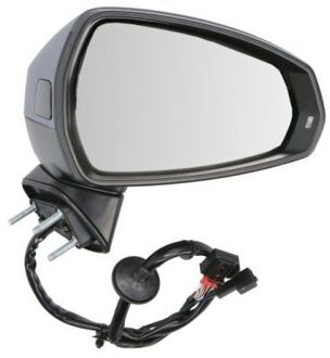 Audi Buitenspiegel 5402250047313P