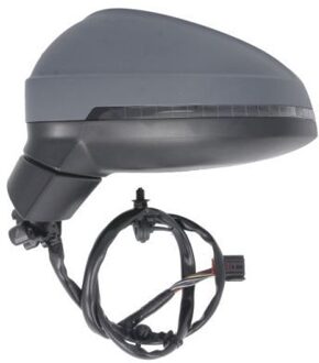 Audi Buitenspiegel 5402250054316P