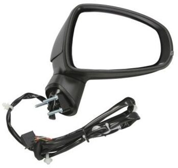 Audi Buitenspiegel 540225044368P