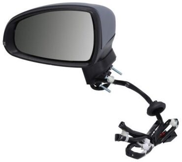 Audi Buitenspiegel 5402251629312P