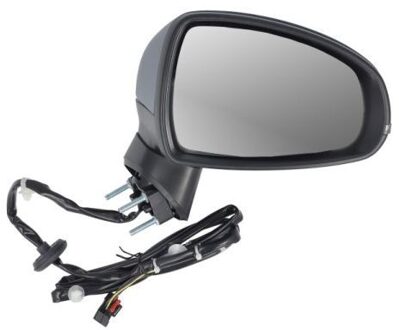 Audi Buitenspiegel 5402251629313P