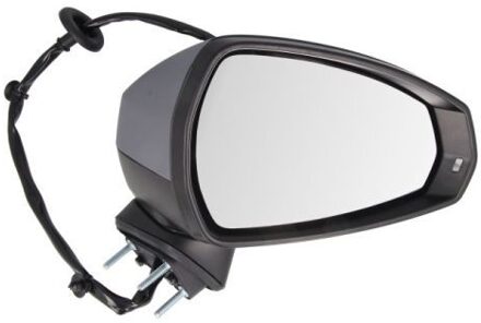 Audi Buitenspiegel 5402252001028P