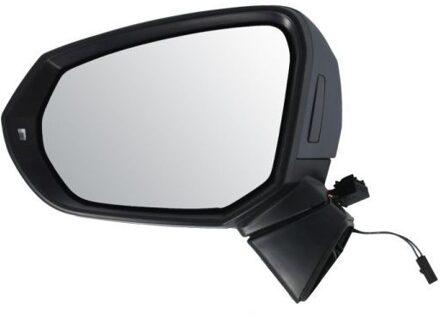 Audi Buitenspiegel 5402252178312P