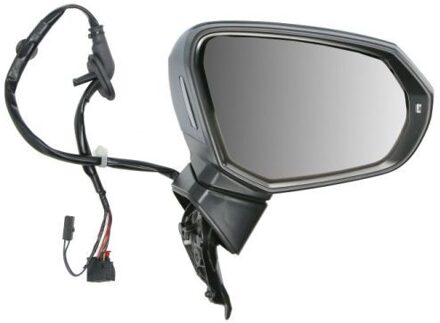 Audi Buitenspiegel 5402252178313P