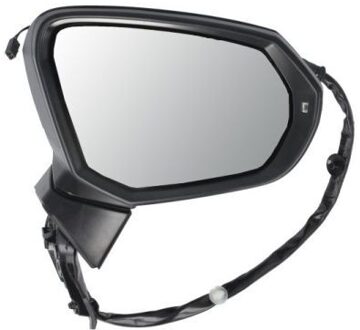 Audi Buitenspiegel 5402252178315P