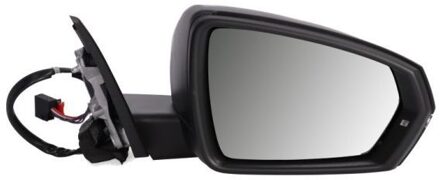 Audi Buitenspiegel 5402252205311P