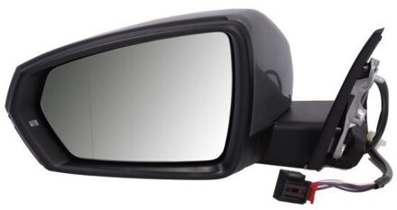 Audi Buitenspiegel 5402252205312P