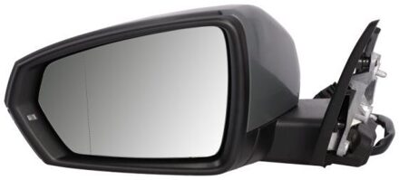 Audi Buitenspiegel 5402252205314P