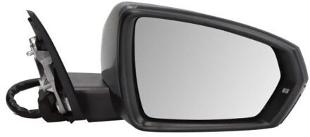 Audi Buitenspiegel 5402252205315P