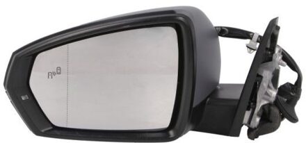 Audi Buitenspiegel 5402252205316P