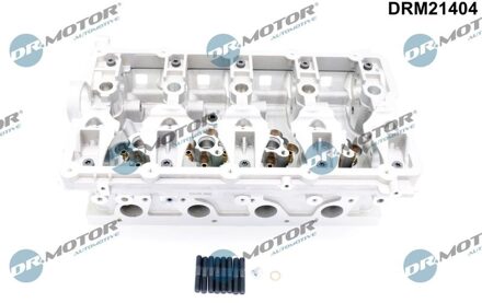 Audi Cilinderkop DRM21404