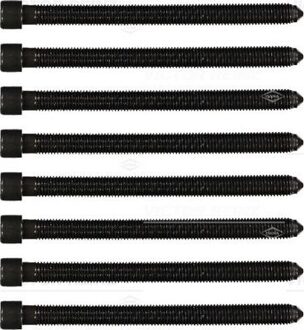 Audi Cilinderkopbout set 143212502