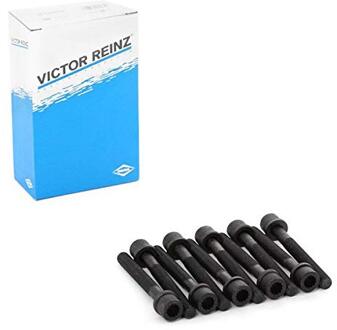 Audi Cilinderkopboutset (10 ST.) 143204601